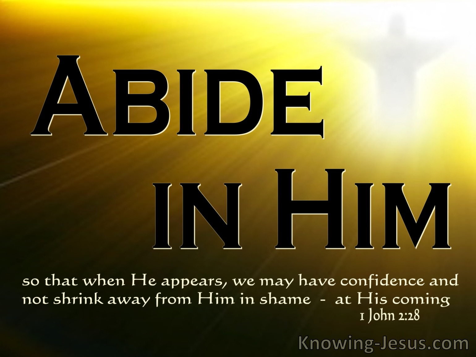 1 John 2:28(NASB). 