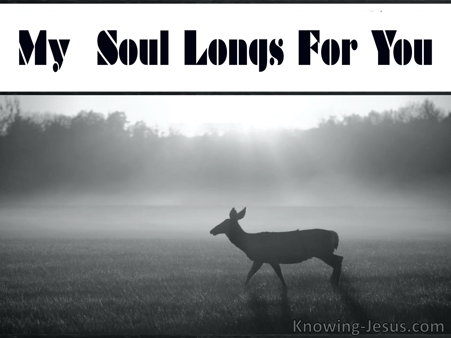 Psalm 421 As the deer pants for streams of water so my soul longs after  You O God