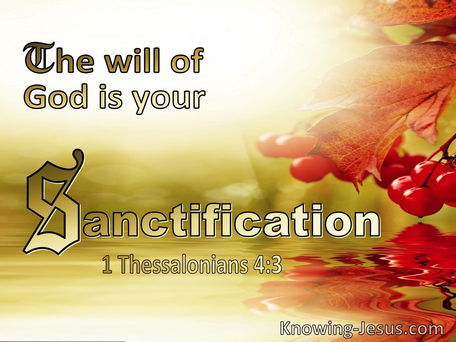 What Does 1 Thessalonians 4:3 Mean?