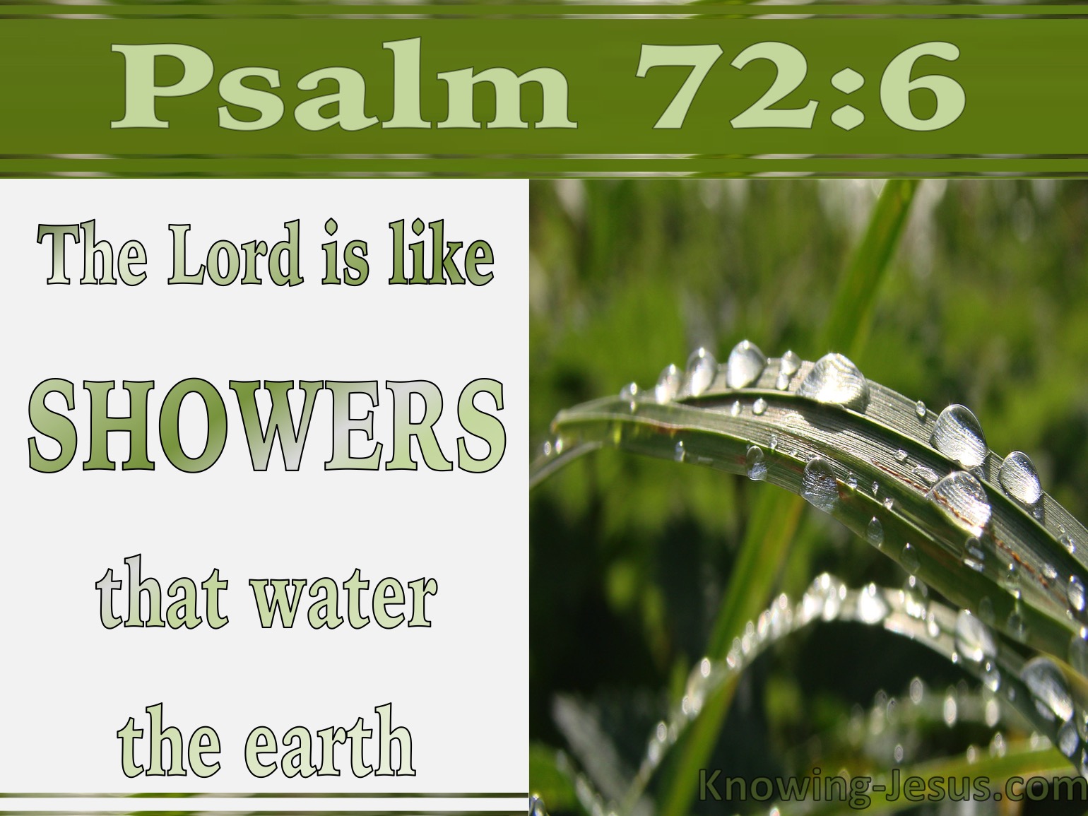 What Does Psalm 72:6 Mean?