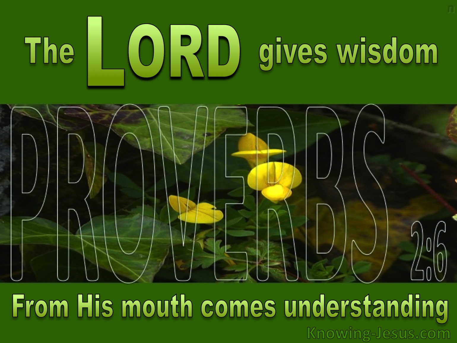 What Does Proverbs 2:6 Mean?