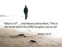 Exodus 16:15