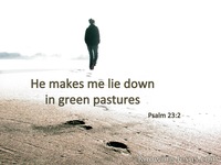 Psalm 23:2