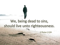 1 Peter 2:24