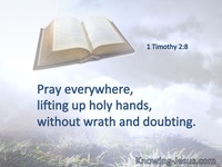 1 Timothy 2:8
