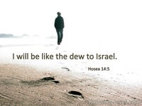 Hosea 14:5