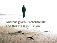 1 John 5:11