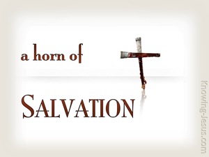 Horn of salvation meaning