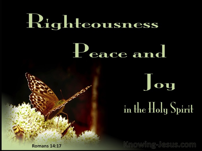 Image result for Righteousness, Peace and Joy Romans 14:7
