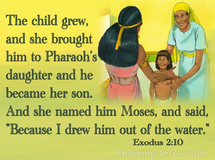 What Does Exodus 2:10 Mean?