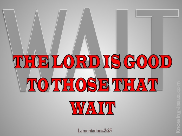 What Does Lamentations 3 25 Mean